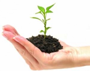 businessstartup businessstartup