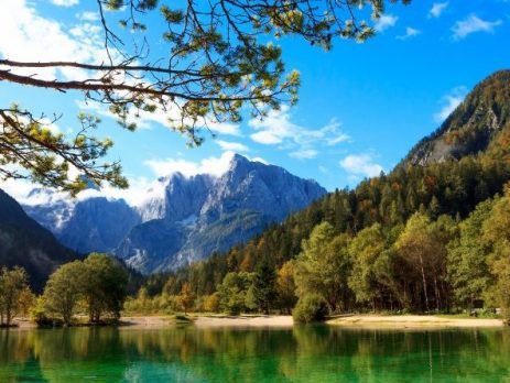 Residency status for tax purposes in Slovenia
