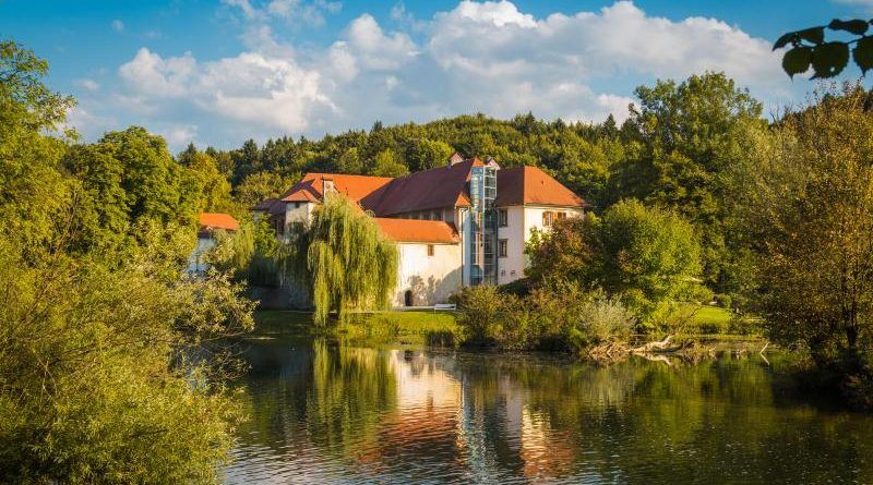 Do you want to transfer business to Slovenia?