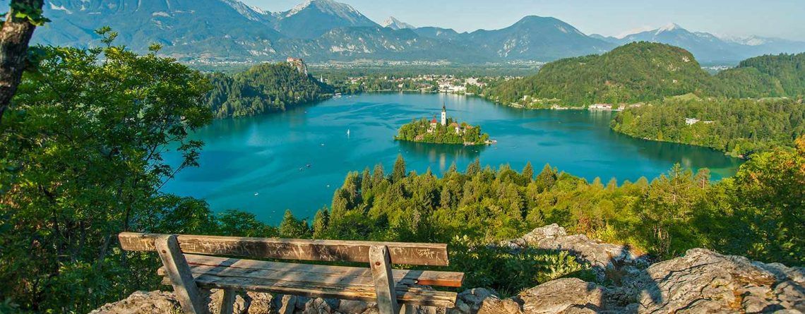Steps of business immigration to Slovenia