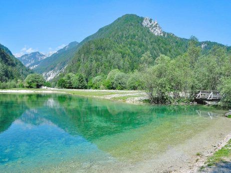 Reasons for business immigration to Slovenia