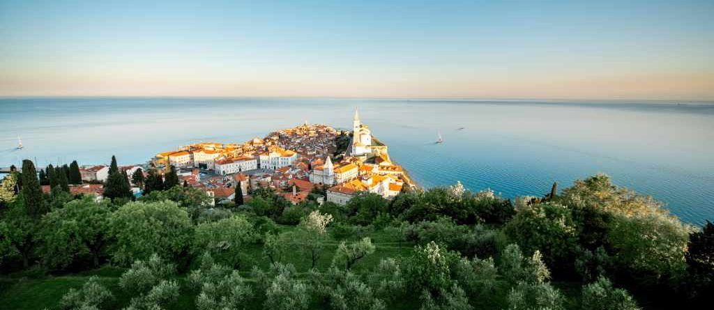 The primary documentation for the registration of a company in Slovenia