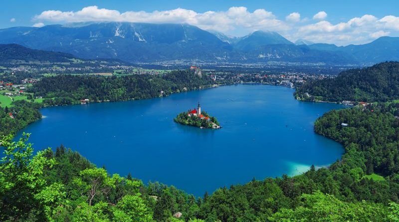 Export and import with a business in Slovenia
