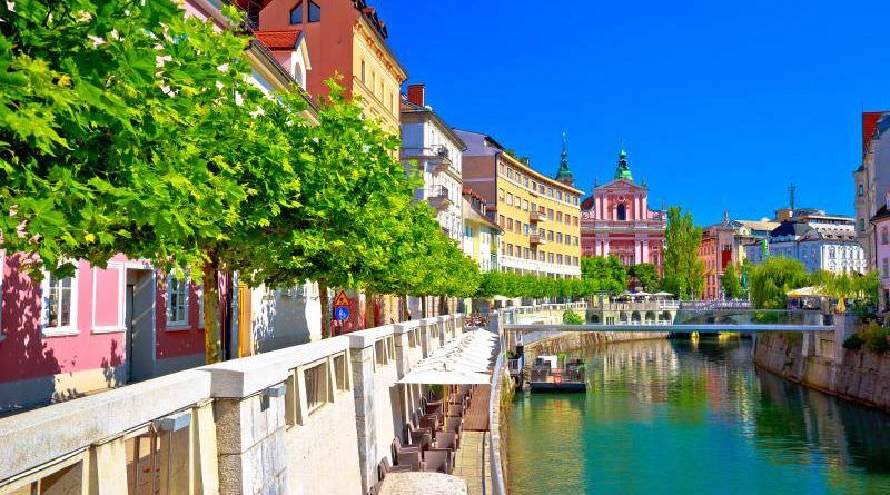 Business activities in Slovenia