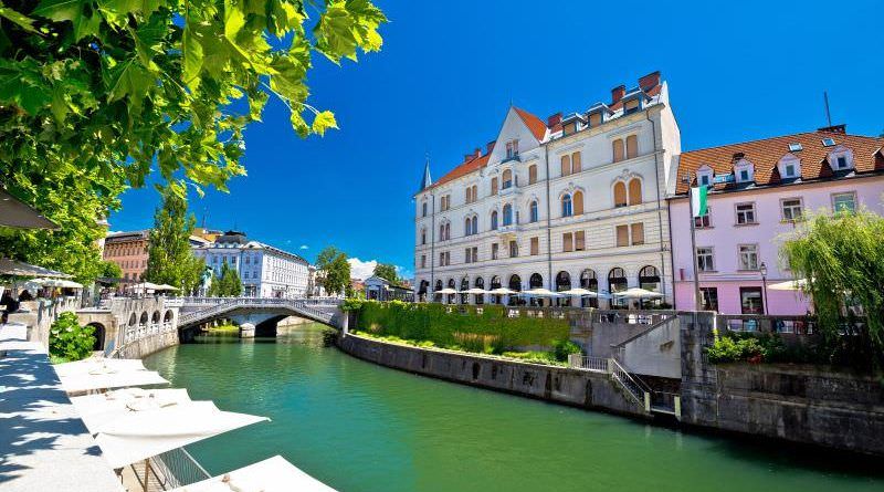 Business consultation in Slovenia