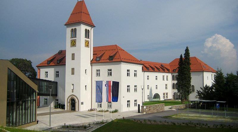 Forms of business in Slovenia