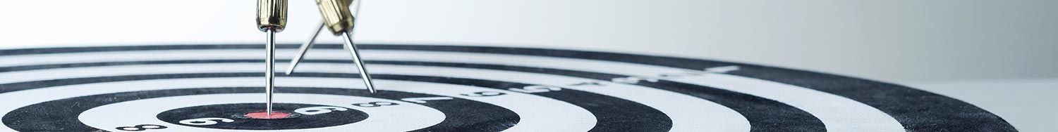 Agency Data for business services in Slovenia