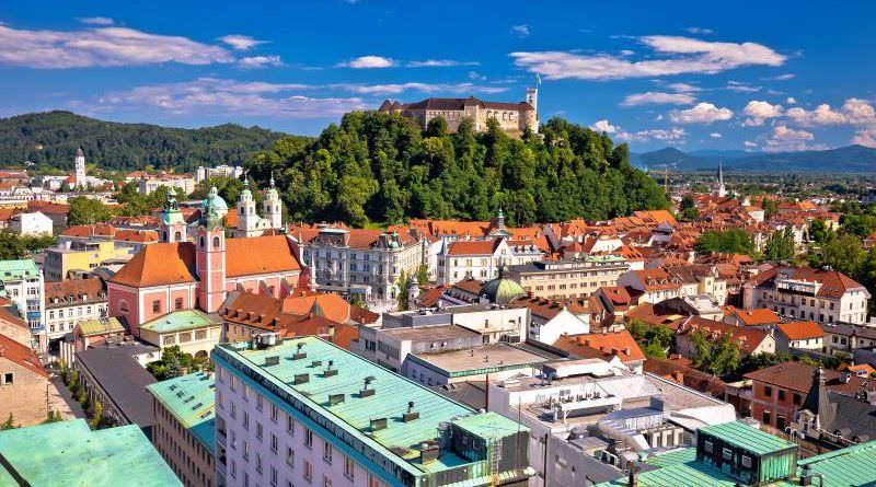 Company formations in Slovenia