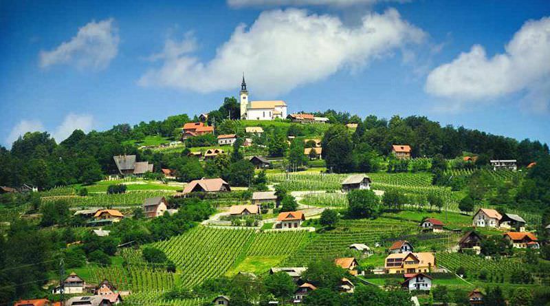 Invoice on the company name in Slovenia, EU