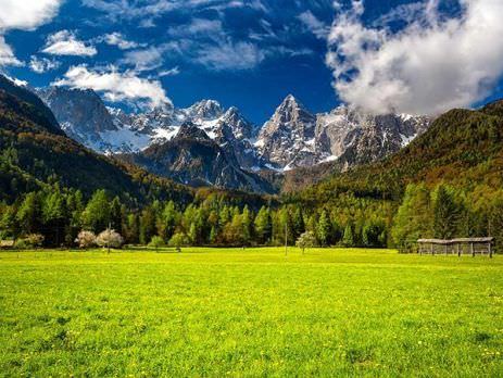 Family reunification and business immigration to Slovenia, EU