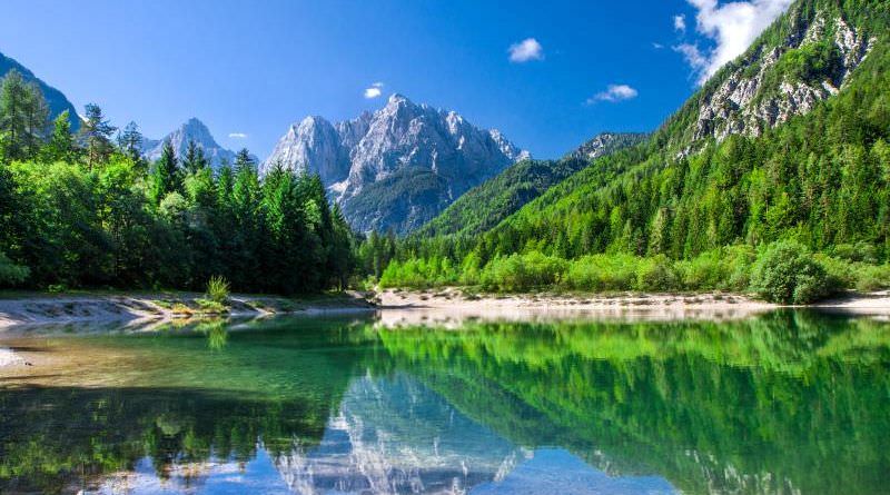 Firm registration in Slovenia