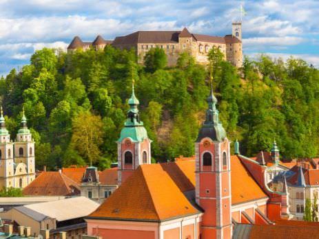 New LTD company in Slovenia