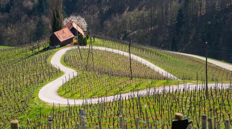Obtaining Slovenian citizenship
