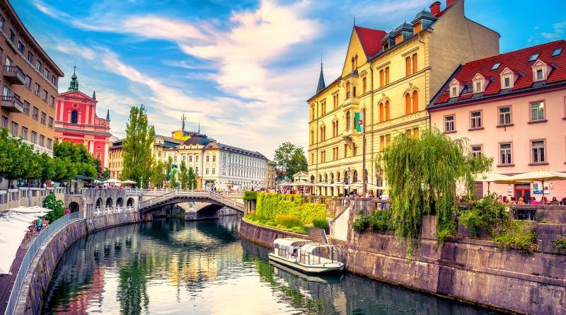 Software programming with slovenian company