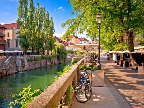 Immigration through business in Slovenia