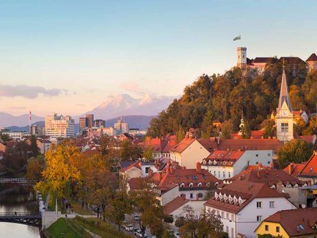 Relocate to Slovenia by establishing a company