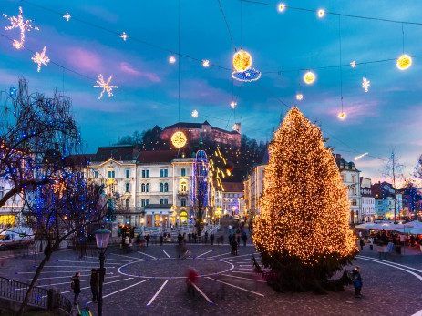 Private company in Slovenia – establish an LTD company