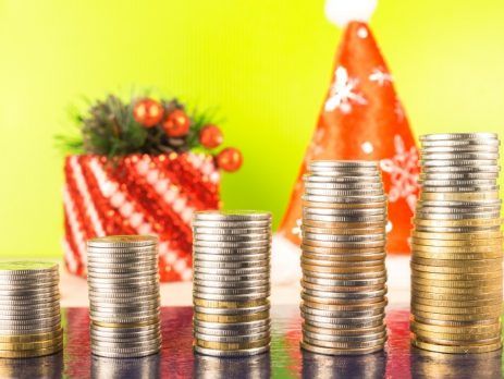 Investment into fixed assets of the company in Slovenia, EU