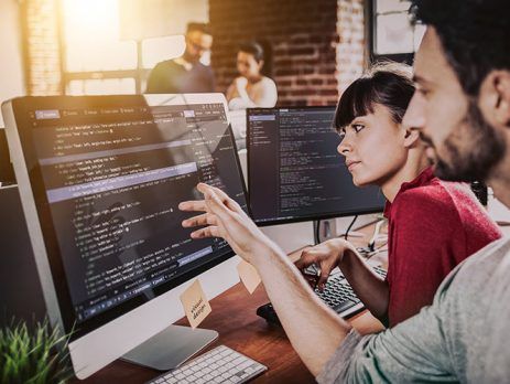 Computer programming as a business activity in Slovenia