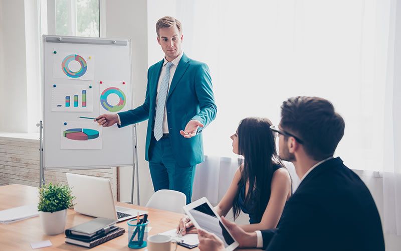 Size of the company micro, small and medium companies Data d.o.o.