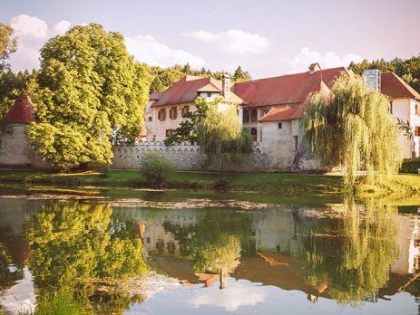Distinctions between company types in Slovenia, EU