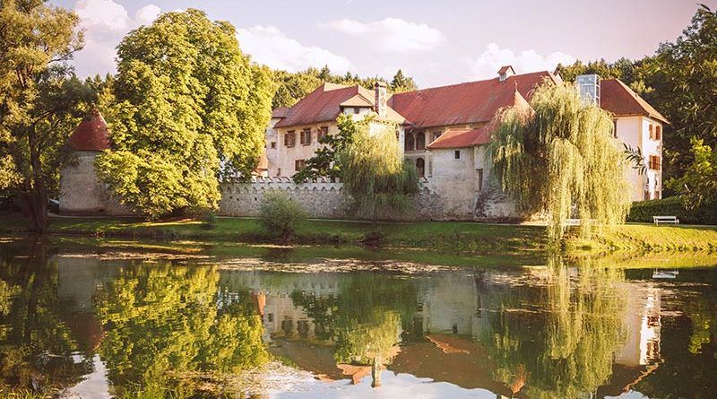 Distinctions between company types in Slovenia, EU