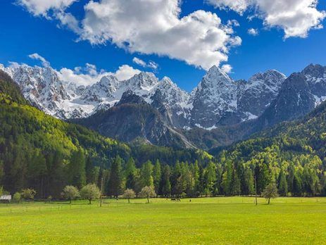 Explanation of the terms of business immigration to Slovenia