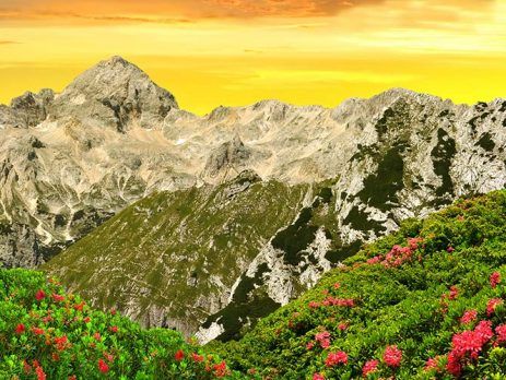 Choice of investment - business immigration to Slovenia