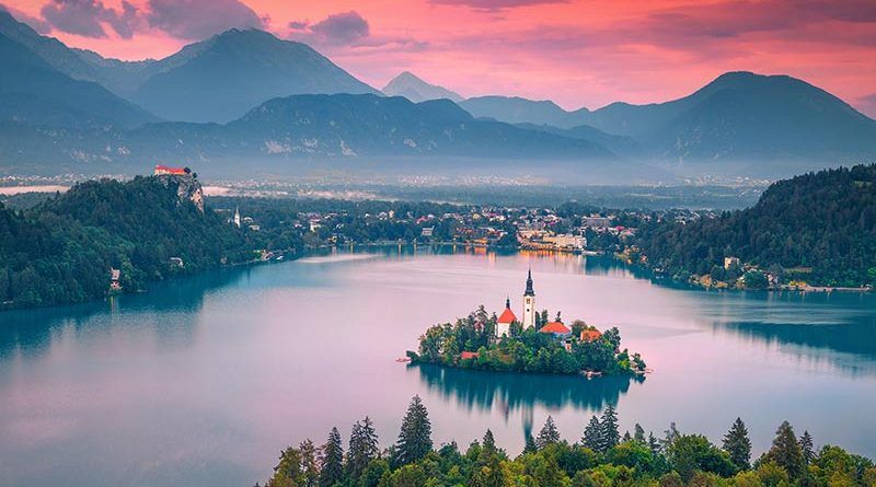 Revenue of the company – business immigration to Slovenia
