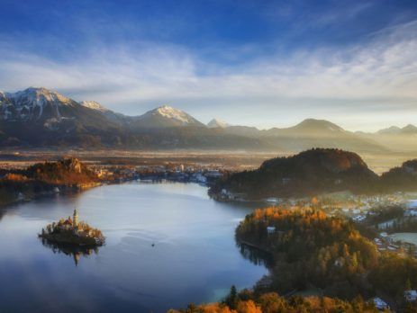 Institutions involved in business immigration to Slovenia, EU