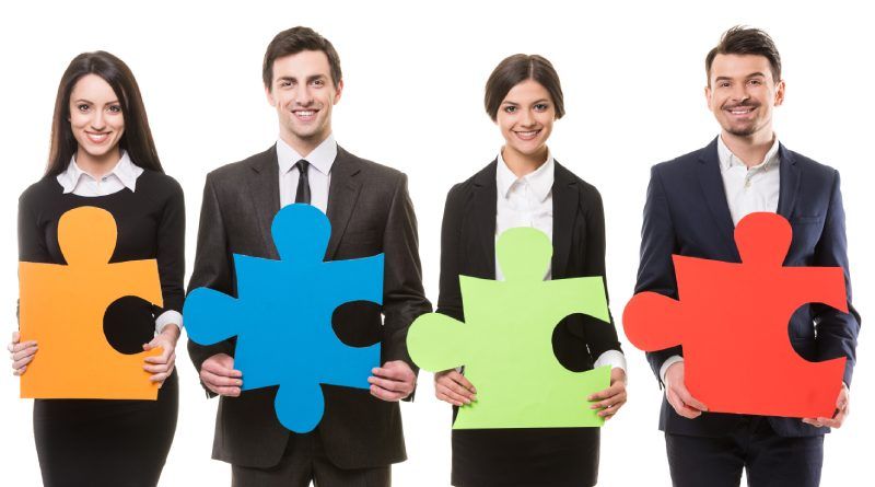 Characteristics of various company types in Slovenia, EU