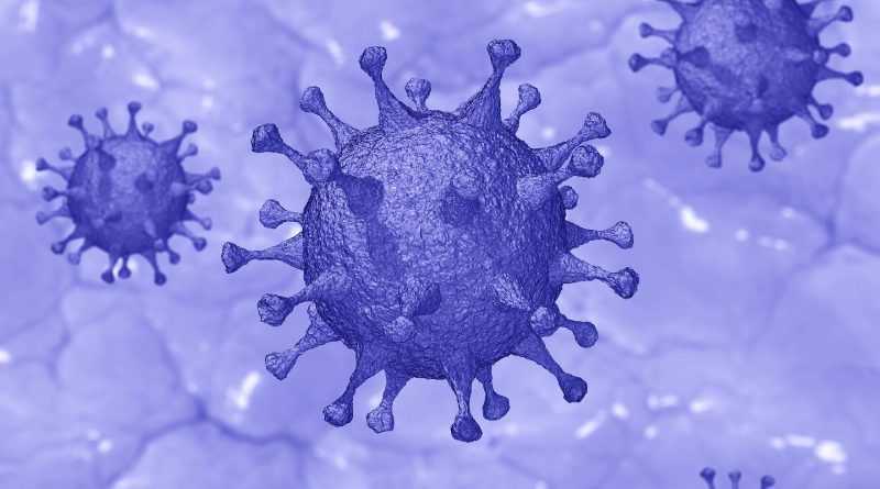 Coronavirus outbreak – state support for Slovenian economy