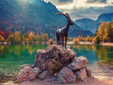 Stage of business immigration to Slovenia – steps and conditions