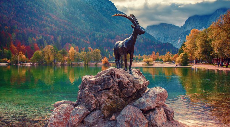 Stage of business immigration to Slovenia – steps and conditions