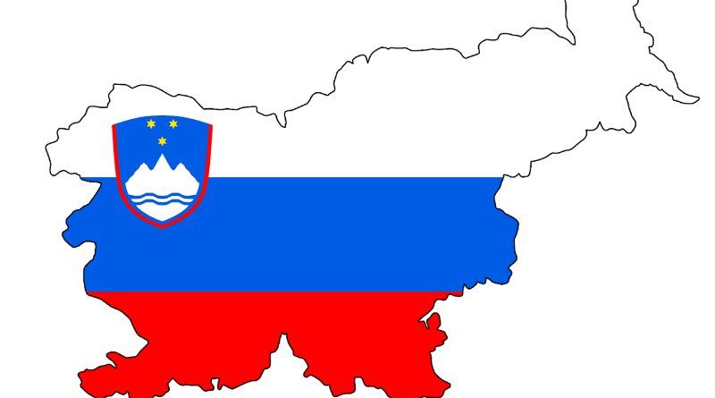 Phases of business immigration to Slovenia