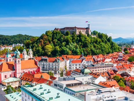 Immigrating to SloveniaEU based on company setup