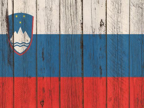 Start a company in Slovenia