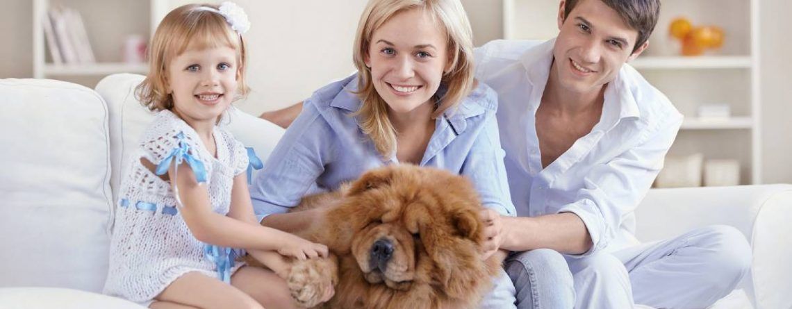 set up a business in Slovenia