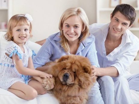 set up a business in Slovenia