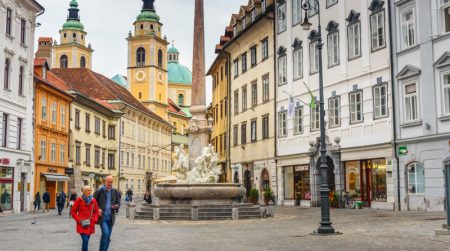 Institucije uključene u poslovnu migraciju u Sloveniju