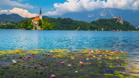 Predstavništvo u SlovenijiEU - karakteristike!