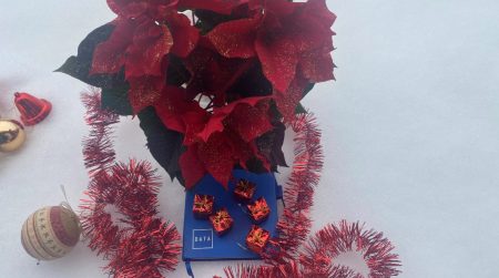 Otvaranje firme za online prodaju u Sloveniji