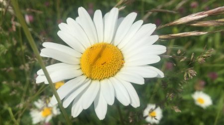 Što morate znati prije otvaranja firme u Sloveniji