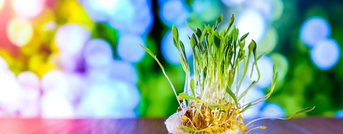 Ustanovni kapital kod otvaranja firme u Sloveniji