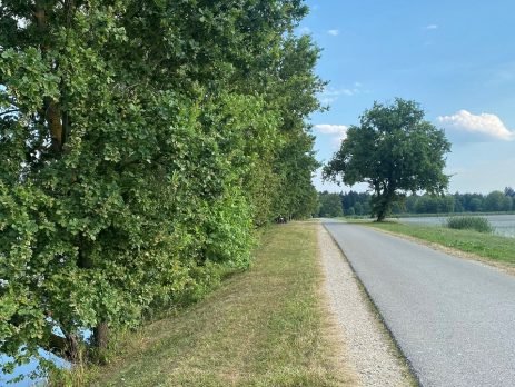 Biznis imigracija u Sloveniji/EU - mogućnosti i prednosti