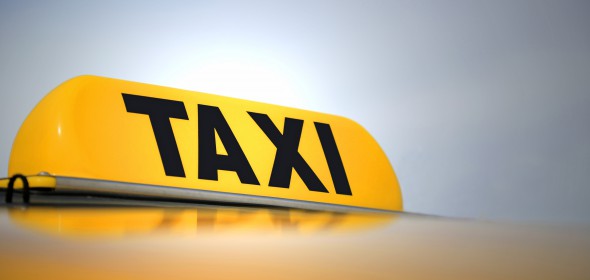 taksist kot sp