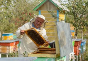 sredstva za čebelarje