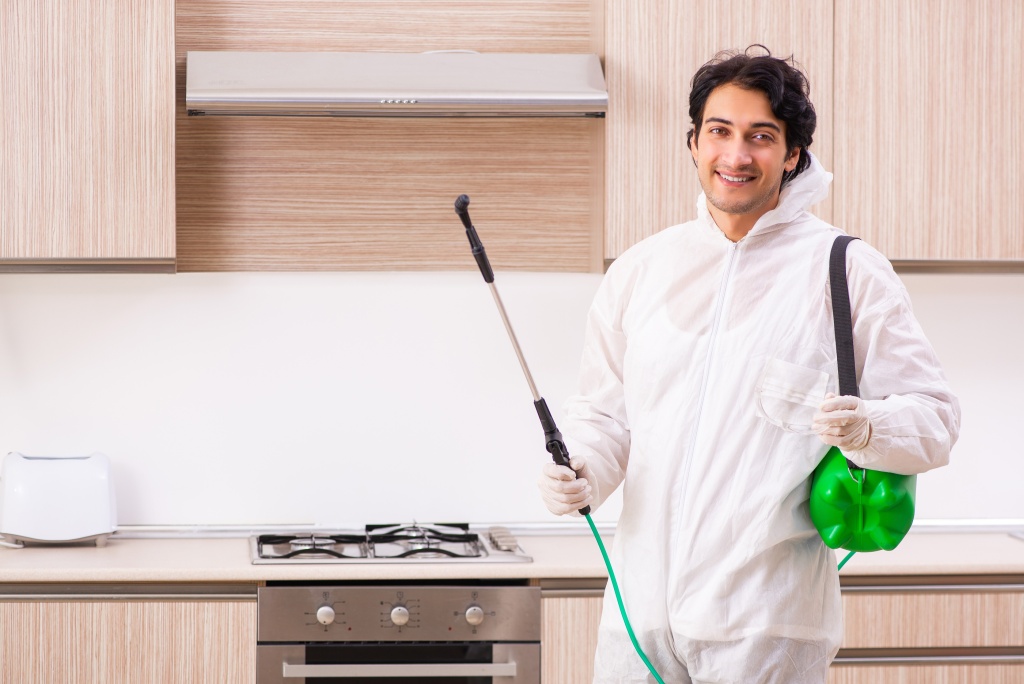 Deratizacija in dezinsekcija