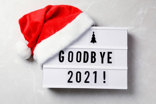 povzetek leta 2021