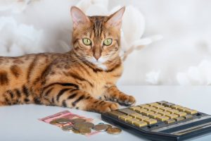 sprememba splošne olajšave